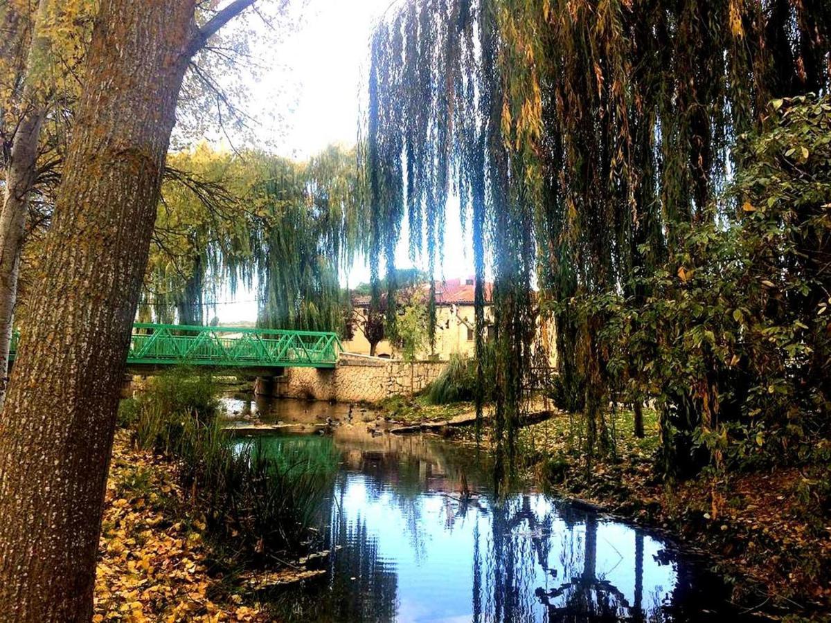 Apartamento Ribera Del Duero Reserva Tubilla del Lago Eksteriør billede