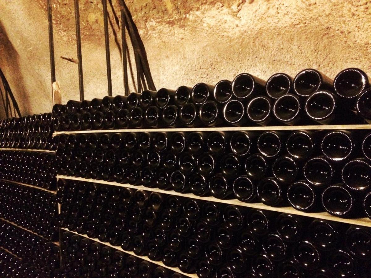 Apartamento Ribera Del Duero Reserva Tubilla del Lago Eksteriør billede