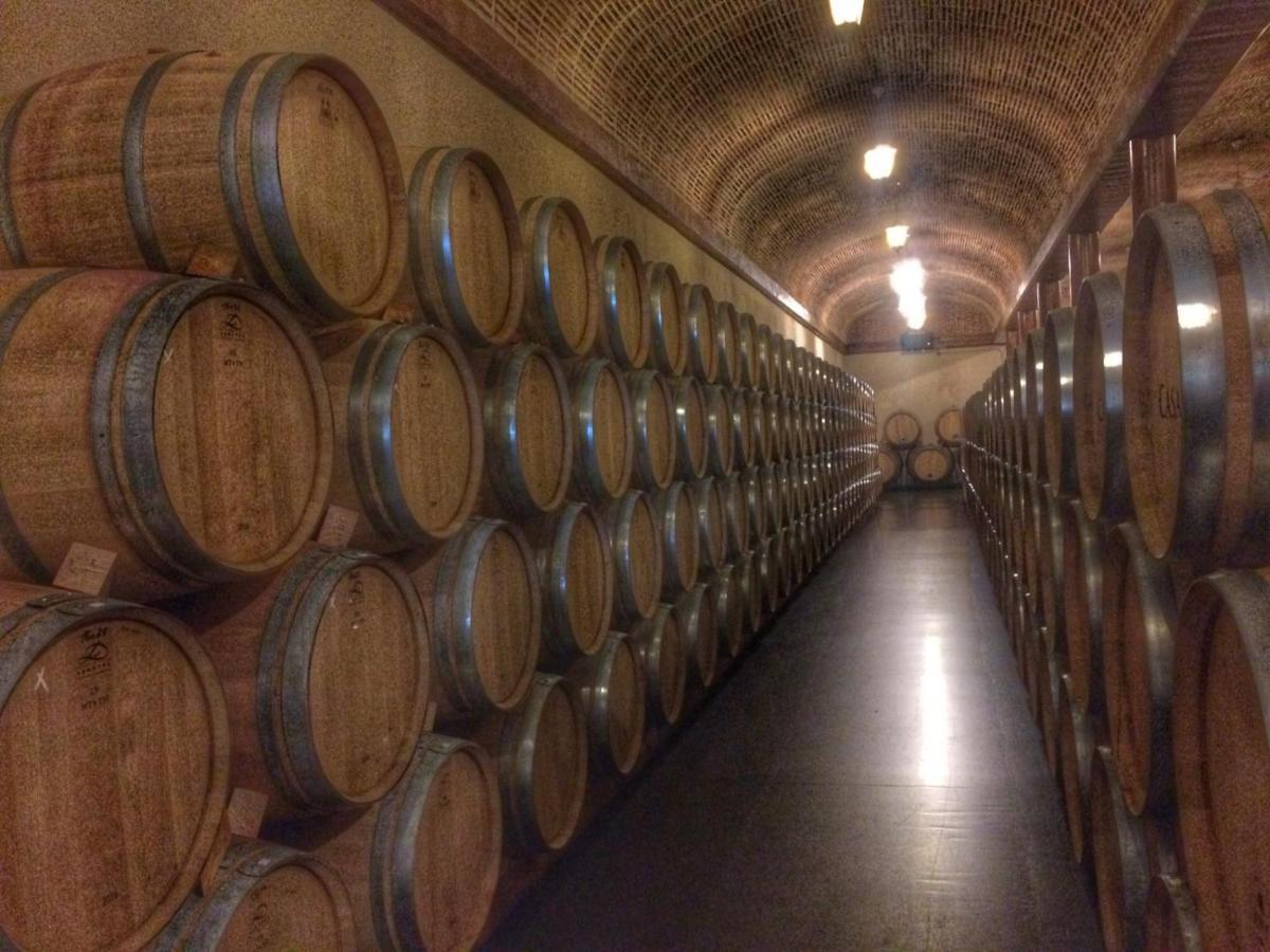 Apartamento Ribera Del Duero Reserva Tubilla del Lago Eksteriør billede